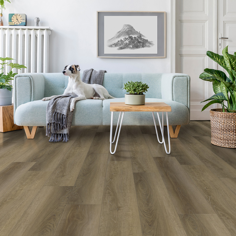 Atlantis - Saddle Oak